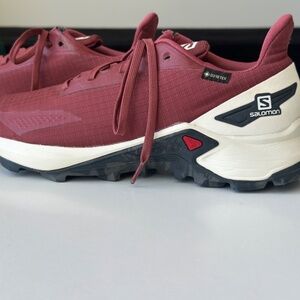 Salomon Alphacross GTX Syrah/Vanilla Ice/Dark Grey GUC